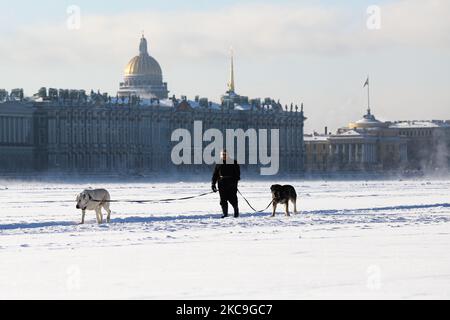 Eine Frau mit Hunden geht am 18. Februar 2021 am gefrorenen Fluss Neva in St. Petersburg, Russland, spazieren. Die Lufttemperatur sank auf -27 Grad. (Foto von Valya Egorshin/NurPhoto) Stockfoto