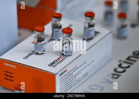 Die Vials des Sinovac Covid-19-Impfstoffes sind während der Ankunft des ersten Versands des Sinovac-Impfstoffes am Flughafen Suvarnabhumi am 24. Februar 2021 in Bangkok, Thailand, abgebildet. Die erste Charge von 200.000 Dosen Sinovac-Impfstoff aus Peking, China, kam am 24. Februar 2021 in Thailand an. (Foto von Vachira Vachira/NurPhoto) Stockfoto