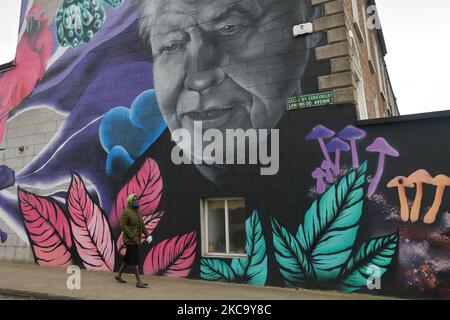 Eine Frau mit einer Gesichtsmaske kommt an einem Wandgemälde von David Attenborough vorbei, das das Künstlerkollektiv SUBSET während der Covid-19-Sperre in Level 5 an einem Grundstück im Süden Dublins gesehen hat. Am Mittwoch, den 24. Februar 2021, in Dublin, Irland. (Foto von Artur Widak/NurPhoto) Stockfoto