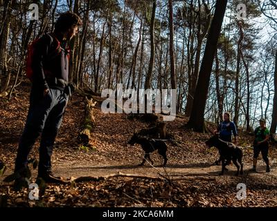 Ein Mann sieht zwei Frauen, die am ersten Wochenende bei wärmeren Temperaturen am 21.. Februar 2021 in den Niederlanden mit ihren Hunden spazieren gehen. (Foto von Romy Arroyo Fernandez/NurPhoto) Stockfoto