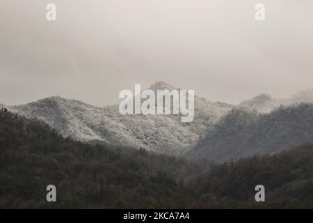Ein schwerer schneebedeckter Berg am Berg Gubyeongsan in Hwaryeong, Südkorea. Bei Verkehrsunfällen, die durch starken Schneefall im Nordosten des Landes verursacht wurden, wurde eine Person getötet und 94 weitere verletzt, sagten die Behörden am Dienstag. Nach Angaben des Zentralen Hauptquartiers für Katastrophenschutz (CDSCH) wurden ab 6 Uhr 53 Unfälle auf verschneiten Straßen gemeldet, nachdem die Provinz Gangwon 10-20 Zentimeter Schnee im Landesinneren und bis zu 77,6 cm in den Bergen erhalten hatte. (Foto von Seung-il Ryu/NurPhoto) Stockfoto