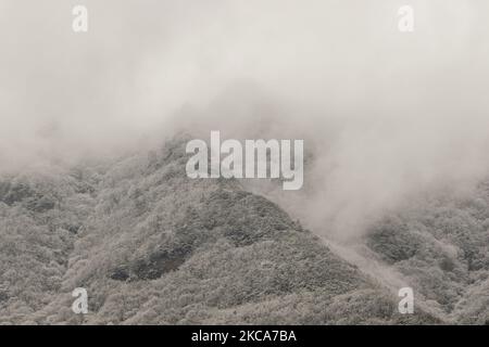 Ein schwerer schneebedeckter Berg am Berg Gubyeongsan in Hwaryeong, Südkorea. Bei Verkehrsunfällen, die durch starken Schneefall im Nordosten des Landes verursacht wurden, wurde eine Person getötet und 94 weitere verletzt, sagten die Behörden am Dienstag. Nach Angaben des Zentralen Hauptquartiers für Katastrophenschutz (CDSCH) wurden ab 6 Uhr 53 Unfälle auf verschneiten Straßen gemeldet, nachdem die Provinz Gangwon 10-20 Zentimeter Schnee im Landesinneren und bis zu 77,6 cm in den Bergen erhalten hatte. (Foto von Seung-il Ryu/NurPhoto) Stockfoto