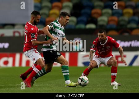 Pedro Goncalves von Sporting CP (C ) lebt mit Joao Costinha von CD Santa Clara (L) und Carlos Junior während des Fußballspiels der Portugiesischen Liga zwischen Sporting CP und CD Santa Clara am 5. März 2021 im Jose Alvalade Stadion in Lissabon, Portugal. (Foto von Pedro FiÃºza/NurPhoto) Stockfoto