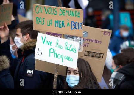 Nach dem Aufruf von Greta Thunberg zu einem World School Strike und „Fridays for Future“ protestierten Schüler und Studenten heute unter dem Motto „Strike for Future“. Sie gingen auf die Straßen von Toulouse, um die Untätigkeit der Regierungen gegenüber der Klimakrise zu verurteilen und auch das Fehlen von Maßnahmen gegen die Umweltkrise anzuprangern. Einige Demonstranten sind wütend auf die französische Regierung, da Fench-Präsident Macron sein Wort über die "Bürgerkonvention zum Klima" nicht gehalten hat: Er sagte, dass alle ihre Vorschläge ohne "Filter" an das Parlament übermittelt würden und das ist nicht das c Stockfoto