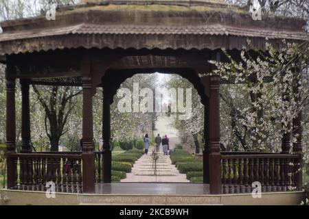 Am 21. März 2021 gehen Menschen in den Badamwari-Garten in Srinagar, dem von Indien verwalteten Kaschmir. Der Garten Badamwer voller Mandelbäume ist in voller Blüte und wurde für Einheimische und Touristen geöffnet. (Foto von Muzamil Mattoo/NurPhoto) Stockfoto