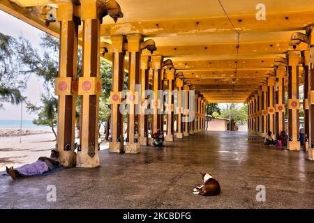 Die Menschen entspannen und schlafen, um der heißen Morgensonne am Keerimalai Naguleswaram Hindu Tempel (Thirutambaleswaram Kovil von Keerimalai) in Keerimalai, Jaffna, Sri Lanka zu entkommen. Dieser Tempel ist einer der ältesten Schreine der Region und wurde nach der portugiesischen Eroberung des Jaffna-Königreichs von Jesuitenmissionaren weitgehend zerstört. Es wurde später 1894 von Arumuka Navalar restauriert und 1983 von der srilankischen Armee besetzt und 1993 von der srilankischen Luftwaffe bombardiert. Der Tempel wird nun restauriert. (Foto von Creative Touch Imaging Ltd./NurPhoto) Stockfoto