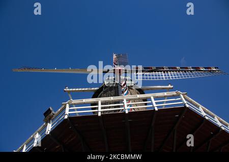 De Hompesche Molen während eines Tages mit blauem Himmel im Frühling. Die 300 Jahre alte Getreidemühle, nationales Denkmal in den Niederlanden, die höchste Turmwindmühle in Limburg in der Nähe von Stevensweert Dorf und Maas oder Maas Fluss. Die Mühle befindet sich in einem Naturschutzgebiet, ideal zum Wandern oder Radfahren. Stevensweert, Niederlande am 20. März 2021 (Foto von Nicolas Economou/NurPhoto) Stockfoto