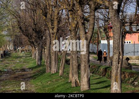 Muslimische Kaschmirs ohne Masken wandern am 31. März 2021 in Sopore, Distrikt Baramulla, Jammu und Kaschmir, Indien, inmitten der COVID-19 Coronavirus-Pandemie. (Foto von Nasir Kachroo/NurPhoto) Stockfoto