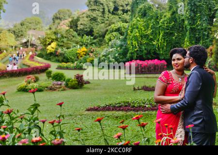 Das frisch verheiratete singhalesische Paar aus Sri Lanka posiert für ihre Fotos nach der Hochzeit im Royal Botanical Gardens in Peradeniya, Sri Lanka. Der Royal Botanical Gardens liegt westlich der Stadt Kandy und zieht jährlich 2 Millionen Besucher an. (Foto von Creative Touch Imaging Ltd./NurPhoto) Stockfoto