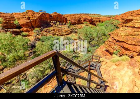 Treppen am Kings Canyon führen hinunter zum Garden of Eden, Watarrka National Park, Northern Territory. Luftige, zerklüftete Landschaft, roter Sandstein, Gummibäume Stockfoto