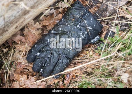 Ein Handschuh mit etwas Schnee darauf. Der Schneefall in den Niederlanden macht das erste „Weiße Ostern“ nach langer Zeit mit einem deutlichen Temperaturabfall und erreicht nach Angaben der niederländischen Wetterbehörde KNMI den Gefrierpunkt, was den Ostermontag zu einem der kältesten Tage aller Zeiten mit niedrigen Temperaturen macht. Zusätzlich zu Schnee, Hagel und hoher Geschwindigkeit kam es zu starkem eisgekühlten Wind. Die KNMI hat für Montag Abend eine gelbe Wetterwarnung herausgegeben, die besagt, dass es starke Winde und rutschige Bedingungen auf den Straßen geben wird. Die Explosion des kalten Wetters mit dem unheimlichen Wetter erschien nach historischen Kriegstagen Stockfoto