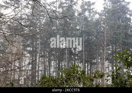 Der Schneefall in den Niederlanden macht das erste „Weiße Ostern“ nach langer Zeit mit einem deutlichen Temperaturabfall und erreicht nach Angaben der niederländischen Wetterbehörde KNMI den Gefrierpunkt, was den Ostermontag zu einem der kältesten Tage aller Zeiten mit niedrigen Temperaturen macht. Zusätzlich zu Schnee, Hagel und hoher Geschwindigkeit kam es zu starkem eisgekühlten Wind. Die KNMI hat für Montag Abend eine gelbe Wetterwarnung herausgegeben, die besagt, dass es starke Winde und rutschige Bedingungen auf den Straßen geben wird. Die Explosion des kalten Wetters mit dem unheimlichen Wetter erschien nach historischen Tagen der Wärme in Europa. Eindhoven, Neth Stockfoto