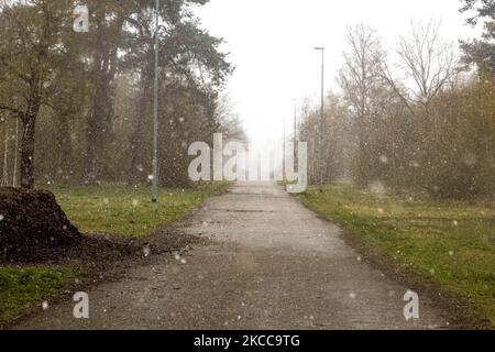 Der Schneefall in den Niederlanden macht das erste „Weiße Ostern“ nach langer Zeit mit einem deutlichen Temperaturabfall und erreicht nach Angaben der niederländischen Wetterbehörde KNMI den Gefrierpunkt, was den Ostermontag zu einem der kältesten Tage aller Zeiten mit niedrigen Temperaturen macht. Zusätzlich zu Schnee, Hagel und hoher Geschwindigkeit kam es zu starkem eisgekühlten Wind. Die KNMI hat für Montag Abend eine gelbe Wetterwarnung herausgegeben, die besagt, dass es starke Winde und rutschige Bedingungen auf den Straßen geben wird. Die Explosion des kalten Wetters mit dem unheimlichen Wetter erschien nach historischen Tagen der Wärme in Europa. Eindhoven, Neth Stockfoto