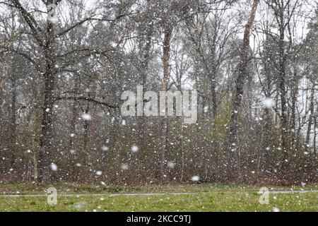 Der Schneefall in den Niederlanden macht das erste „Weiße Ostern“ nach langer Zeit mit einem deutlichen Temperaturabfall und erreicht nach Angaben der niederländischen Wetterbehörde KNMI den Gefrierpunkt, was den Ostermontag zu einem der kältesten Tage aller Zeiten mit niedrigen Temperaturen macht. Zusätzlich zu Schnee, Hagel und hoher Geschwindigkeit kam es zu starkem eisgekühlten Wind. Die KNMI hat für Montag Abend eine gelbe Wetterwarnung herausgegeben, die besagt, dass es starke Winde und rutschige Bedingungen auf den Straßen geben wird. Die Explosion des kalten Wetters mit dem unheimlichen Wetter erschien nach historischen Tagen der Wärme in Europa. Eindhoven, Neth Stockfoto