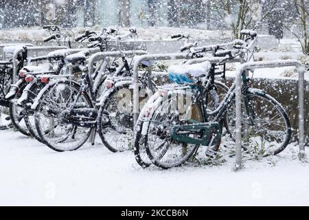 Fahrräder während des Schnees. Die Niederlande wachen nach einem intensiven morgendlichen Schneefall, einem bizarren Ereignis im April, mit Schnee bedeckt auf. Der zweite Tag mit niedrigen Temperaturen und Schneefall in den Niederlanden nach dem „Weißen Ostermontag“ mit einem deutlichen Temperaturabfall, der nach Angaben der niederländischen Meteorologischen Agentur KNMI den Gefrierpunkt erreicht hat und den Ostermontag zu einem der kältesten Tage aller Zeiten mit niedrigen Temperaturen macht. Zusätzlich zu Schnee, Hagel und hoher Geschwindigkeit kam es zu starkem eisgekühlten Wind. Die KNMI hat eine gelbe Code-Wetterwarnung für Montagabend herausgegeben, die besagt, dass es starke Winde und s geben wird Stockfoto