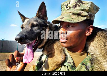 U.S. Navy Master-at-Arms nimmt sich einen Moment Zeit, um seinen militärisch arbeitenden Hund ruhen zu lassen. Stockfoto