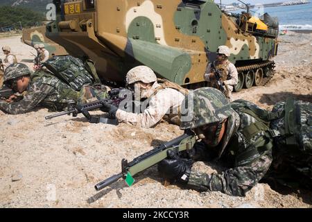 Republik Korea und US-Marineinfanteristen während Ssang Yong 2014. Stockfoto