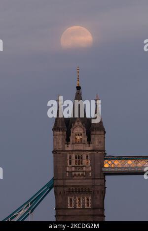 LONDON, VEREINIGTES KÖNIGREICH - 26. APRIL 2021: Am 26. April 2021 steigt in London, England, ein fast vollständig rosaroter Mond über der Tower Bridge auf. Der April-Supermond ist einer der größten und hellsten im Jahr 2021 mit seiner Umlaufbahn in etwa 357.379 km Entfernung von der Erde, was ihn um 14% größer und 30% heller erscheinen lässt. (Foto von Wiktor Szymanowicz/NurPhoto) Stockfoto