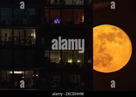 Der Vollmond oder Pink Supermoon oder Super Pink Moon vom 2021. April, wie aus der niederländischen Stadt Eindhoven, Niederlande, am 27. April 2021 gesehen, steigt hinter den Gebäuden in roter Farbe über den Horizont. Der Super-Vollmond ist größer und heller am Himmel, weil er näher an der Erde ist., 14 Prozent größer und 30 Prozent heller als eine gemeinsame Größe und Helligkeit eines gewöhnlichen Mondes. Der Name des Pink Moon ist mit der Frühjahrsblüte der Blumen verbunden. Andere Namen der natürliche Satellit der Erde in der Umlaufbahn um den Planeten und der größte Satellit im Sonnensystem sind Selene, Luna und Cynthia. (Pho Stockfoto