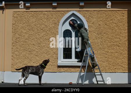 Pater Krzysztof Sikora, der von seinem Hund "Rambo" beobachtet wird, reinigt das Fenster der katholischen Kirche "Mutterstern des Meeres" in Roundstone, Connemara. Die Gemeinde Roundstone gilt geografisch als die größte Gemeinde Irlands und erstreckt sich von den Stränden von Gurteen bis zu den zwölf Bens und dem Mám Tuirc-Gebirge. Bis zum 1990s wurde die Pfarrei von drei Priestern gedient, jetzt gibt es nur noch einen, der fünf Kirchen betreut. Der derzeitige Pfarrer, ein gebürtiger polnischer Pater Krzysztof Sikora, ist Mitglied der Ordensgemeinschaft der Missionare des Göttlichen Wortes. Nach jahrelanger Tätigkeit als Missionar auf den Philippinen, Stockfoto