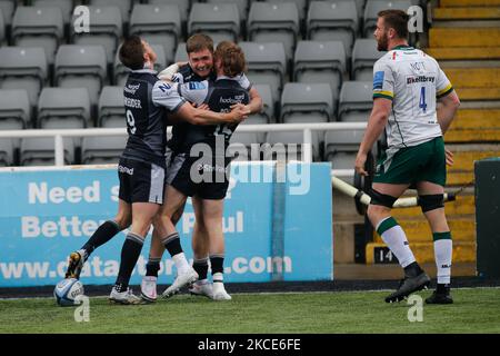 Tom Penny und Louis Schreuder von Newcastle Falcons feiern mit Ben Stevenson nach seinem Superversuch während des Spiels der Gallagher Premiership zwischen Newcastle Falcons und London Irish am Samstag, 8.. Mai 2021 im Kingston Park, Newcastle. (Foto von Chris Lishman/MI News/NurPhoto) Stockfoto