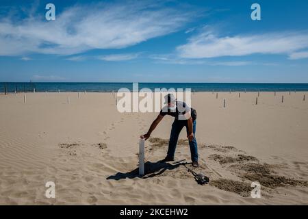 Am 14. Mai 2021 stellt ein Arbeiter die Stöcke für die Sonnenschirme am Strand von Margherita di Savoia, Italien, auf. Die Manager von Badestränden haben dies bereits getan, andere organisieren Gehwege, Hütten, Pavillons und Basen für Sonnenschirme während für was die öffentlichen Strände betrifft, haben die Gemeinden die Wartungsarbeiten der festen Strukturen und die Rückgewinnung mit der Beseitigung von Abfällen und verschiedenem Material, das durch die Stürme der Wintermonate gebracht wurde, begonnen. Die Saison beginnt offiziell am Samstag, dem 15. Mai, früher als in der Vergangenheit, wie in der Badeverordnung der Region von 2021 festgelegt Stockfoto