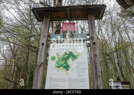 Historisches Eingangstor zum strengen Reservat (UNESCO-Weltkulturerbe) ist am 1. Mai 2021 im Nationalpark Bialowieza in Polen zu sehen (Foto: Michal Fludra/NurPhoto) Stockfoto