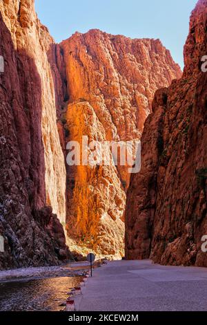 Todra-Schlucht im Hohen Atlas in der Nähe der Stadt Tinerhir in Marokko, Afrika. Die Todgha-Schluchten (Todra-Schluchten) sind eine Reihe von Kalkstein-Flussschluchten, oder wadi, im östlichen Teil des Hohen Atlas in Marokko. Sowohl der Todgha als auch der benachbarte Dades-Flüsse sind für die Ausgravur dieser tiefen, felsigen Schluchten verantwortlich. (Foto von Creative Touch Imaging Ltd./NurPhoto) Stockfoto