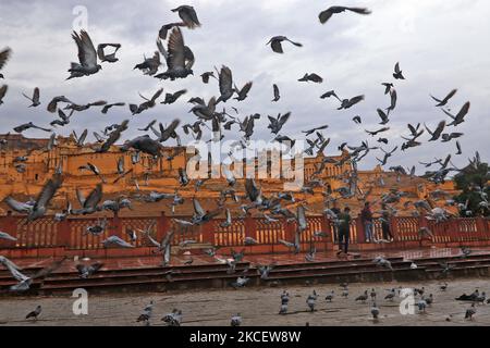 Tauben fliegen an einem regnerischen Tag in der Nähe des historischen Amer Fort in Jaipur, Rajasthan, Indien, Dienstag, 18,2021. Mai. (Foto von Vishal Bhatnagar/NurPhoto) (Foto von Vishal Bhatnagar/NurPhoto) Stockfoto