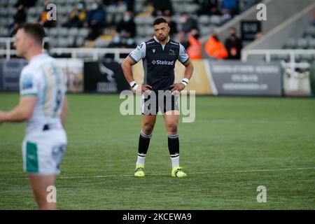 Luther Burrell von Newcastle Falcons schaut am 17.. Mai 2021 während des Spiels der Gallagher Premiership zwischen Newcastle Falcons und Northampton Saints im Kingston Park, Newcastle, auf. (Foto von Chris Lishman/MI News/NurPhoto) Stockfoto