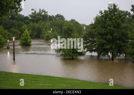 Buffalo Bayou Park überflutet am frühen Mittwoch, 19.. Mai, in Houston, Texas. Ein großer Hundepark und ein Netzwerk von Laufstrecken und Gehwegen werden mit dem Anstieg des Wasserspiegels völlig untergetaucht. (Foto von Reginald Mathalone/NurPhoto) Stockfoto