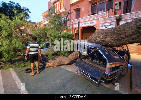 Fahrzeuge, die nach einem schweren Sturm auf Kishanpole Bazar in Jaipur, Rajasthan, Indien, unter einem entwurzelten Baum beschädigt wurden, Sonntag, 30. Mai, 2021. (Foto von Vishal Bhatnagar/NurPhoto) Stockfoto