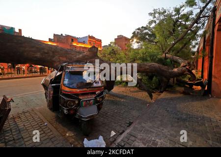 Fahrzeuge, die nach einem schweren Sturm auf Kishanpole Bazar in Jaipur, Rajasthan, Indien, unter einem entwurzelten Baum beschädigt wurden, Sonntag, 30. Mai, 2021. (Foto von Vishal Bhatnagar/NurPhoto) Stockfoto