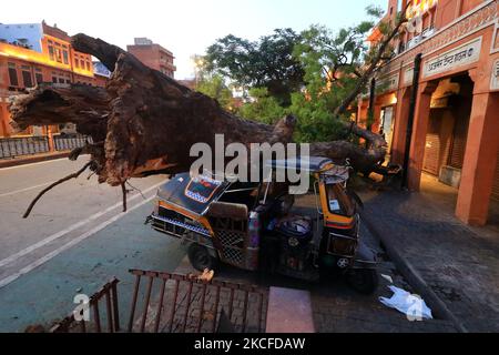 Fahrzeuge, die nach einem schweren Sturm auf Kishanpole Bazar in Jaipur, Rajasthan, Indien, unter einem entwurzelten Baum beschädigt wurden, Sonntag, 30. Mai, 2021. (Foto von Vishal Bhatnagar/NurPhoto) Stockfoto