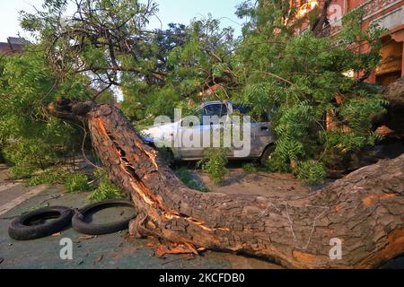 Fahrzeuge, die nach einem schweren Sturm auf Kishanpole Bazar in Jaipur, Rajasthan, Indien, unter einem entwurzelten Baum beschädigt wurden, Sonntag, 30. Mai, 2021. (Foto von Vishal Bhatnagar/NurPhoto) Stockfoto