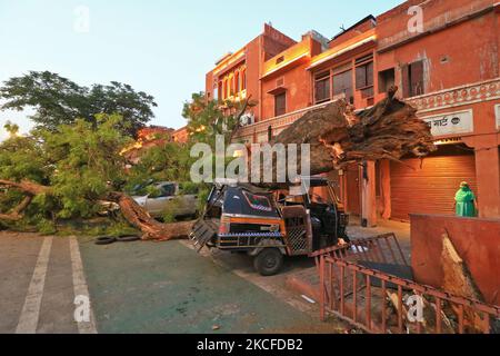 Fahrzeuge, die nach einem schweren Sturm auf Kishanpole Bazar in Jaipur, Rajasthan, Indien, unter einem entwurzelten Baum beschädigt wurden, Sonntag, 30. Mai, 2021. (Foto von Vishal Bhatnagar/NurPhoto) Stockfoto