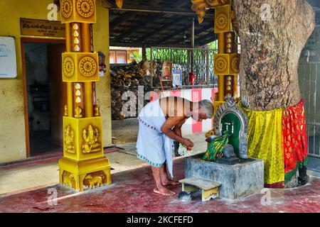 Der tamilische Hindu-Priester legt Opfergaben an einem Schrein, der Sri Bhairavar (Bhairava) gewidmet ist, in einem kleinen Hindu-Tempel in der Stadt Ariyalai, Jaffna, Sri Lanka. Bhairava, manchmal bekannt als Kala Bhairava, ist eine heftige Manifestation von Lord Shiva, die mit Vernichtung verbunden ist. In seinen vier Händen trägt er eine Schlinge, einen Dreizack, eine Trommel und einen Schädel. Er wird oft in Begleitung eines Hundes gezeigt. (Foto von Creative Touch Imaging Ltd./NurPhoto) Stockfoto