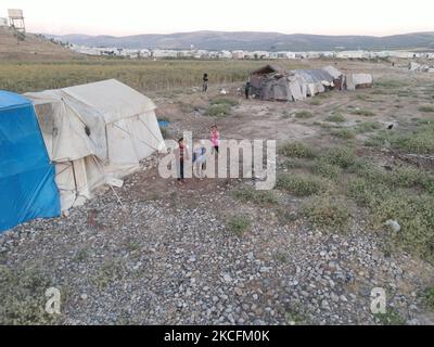 Am 4. Juni 2021 hüten Kinder Schafe in der Nähe von Flüchtlingslagern im Dorf Deir Ballut, nördlich von Aleppo, nahe der syrisch-türkischen Grenze. (Foto von Rami Alsayed/NurPhoto) Stockfoto