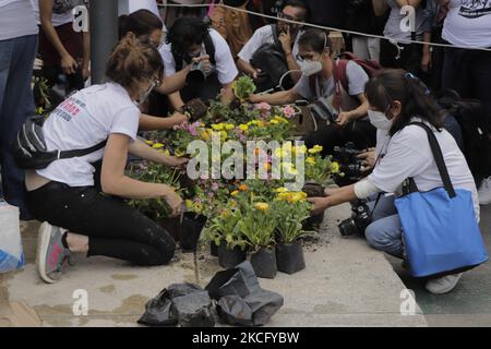 Mitglieder des Comité 68 und verschiedene soziale Organisationen legen Blumen auf einen Blumentopf auf der Avenida Júarez in Mexiko-Stadt, um des 50.. Jahrestages der Halconazo zu gedenken und Gerechtigkeit für den Tag zu fordern, an dem Polizei und Militär mehr als 100 Studenten der Nationalen Autonomen Universität von massakrierten Mexiko und das National Polytechnic Institute. (Foto von Gerardo Vieyra/NurPhoto) Stockfoto
