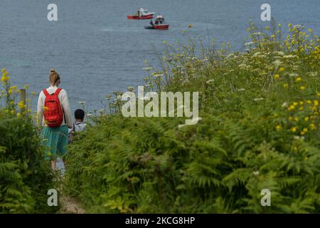 Zwei Touristen auf der Great Saltee Island gesehen. Die Saltee-Inseln bestehen aus zwei unbewohnten kleinen Inseln vor der südöstlichen Küste Irlands. Die Inseln sind ein Paradies für Seevögel und ein Brutgebiet für Fulmar, Gannet, Shag, Kittiwake, Guillemot, razorbill und Papageitaucher liegen auf einer wichtigen Migrationsroute und sind ein beliebter Haltepunkt für Zugvögel im Frühjahr und Herbst. Am Freitag, den 18. Juni 2021, in Great Saltee, Saltee Islands, County Wexford, Irland. (Foto von Artur Widak/NurPhoto) Stockfoto