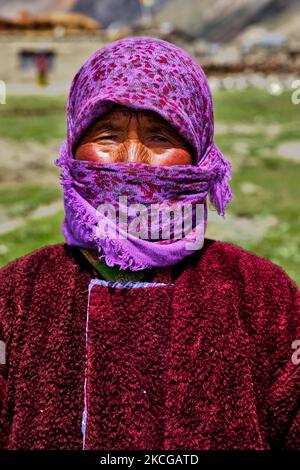 Ladakhi-Frau, die in einem kleinen Dorf in Zanskar, Ladakh, Jammu und Kaschmir, Indien, Dzos und Dzomos hütet. Ein Dzo ist eine hybride Kreuzung zwischen einem Yak und einer Hauskuh, und ein Dzomo ist das weibliche Gegenstück. (Foto von Creative Touch Imaging Ltd./NurPhoto) Stockfoto