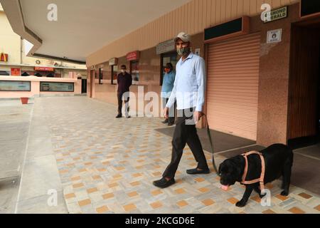 Bombengruppe bei einer Rettungsaktion während einer Scheinübung in der Rajmandir-Kinohalle in Jaipur, Rajasthan, Indien, im Juni 23,2021. (Foto: Vishal Bhatnagar/NurPhoto) Stockfoto