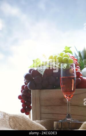 Frische Trauben und Wein aus dem Weinberg in Schachteln und Rotwein Stockfoto