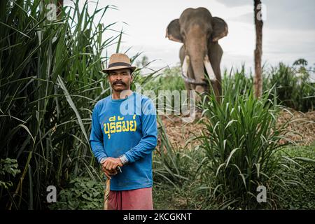 Der Elefant, der mit seinem Besitzer und Trainer im Film „Tom Yam Goong“ spielte. Der Elefant wurde nach dem Ausbruch der COVID-19 in Thailand aus dem Zoo von Chiang Mai an seinen ursprünglichen Besitzer zurückgegeben. Am 29. Juni 2021 in Surin, Thailand. Thailand ist aufgrund der COVID 19-Pandemie seit über einem Jahr für den internationalen Tourismus gesperrt. Die meisten Elefantenlager in touristischen Destinationen im ganzen Land mussten schließen und die Elefanten wurden nun gezwungen, zu ihren ursprünglichen Besitzern nach Hause zurückzukehren. Während der „Elefantentourismus“ an sich umstritten ist, stehen die Tiere zu Hause, wie oft Th, vor einer ungewissen Zukunft Stockfoto