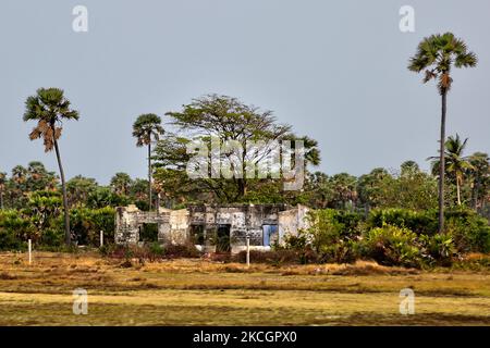 Überreste eines Wohnhauses, das während des Bürgerkrieges in Kayts, Jaffna, Sri Lanka, zerstört wurde. Kayts ist eines der Dörfer auf der Insel Velanai, einer kleinen Insel vor der Küste der Halbinsel Jaffna im Norden Sri Lankas. Kayts Island war auch Schauplatz von Gewalt im Rahmen des srilankischen Bürgerkrieges, einschließlich des Allaipiddy-Massakers. Dies ist nur eine der vielen Erinnerungen an die tiefen Narben, die während des 26-jährigen Bürgerkrieges zwischen der srilankischen Armee und der LTTE (Liberation Tigers of Tamil Eelam) entstanden sind. Die Vereinten Nationen schätzen, dass während des Krieges etwa 40.000 Menschen getötet wurden. (Foto von Creativ Stockfoto