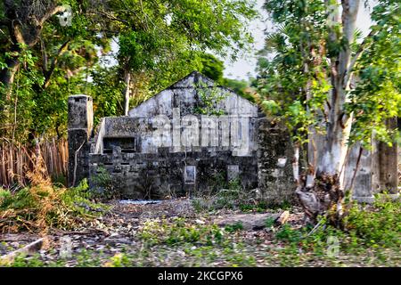 Überreste eines Wohnhauses, das während des Bürgerkrieges in Kayts, Jaffna, Sri Lanka, zerstört wurde. Kayts ist eines der Dörfer auf der Insel Velanai, einer kleinen Insel vor der Küste der Halbinsel Jaffna im Norden Sri Lankas. Kayts Island war auch Schauplatz von Gewalt im Rahmen des srilankischen Bürgerkrieges, einschließlich des Allaipiddy-Massakers. Dies ist nur eine der vielen Erinnerungen an die tiefen Narben, die während des 26-jährigen Bürgerkrieges zwischen der srilankischen Armee und der LTTE (Liberation Tigers of Tamil Eelam) entstanden sind. Die Vereinten Nationen schätzen, dass während des Krieges etwa 40.000 Menschen getötet wurden. (Foto von Creativ Stockfoto