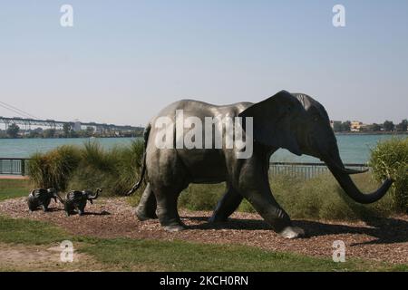 Skulptur von Elefanten im Windsor Sculpture Park am Detroit River in Windsor, Ontario, Kanada. (Foto von Creative Touch Imaging Ltd./NurPhoto) Stockfoto