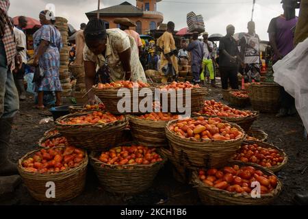 Auf dem Mile-12-Markt in Lagos stellen die Händler Tomaten zum Verkauf aus. Die Lebensmittelpreise bleiben trotz eines Rückgangs der Inflationsrate auf 17,93 % im Mai 2021 am 7. Juli 2021 hoch. Die Weltbank sagte, dass die steigende Inflation und die steigenden Preise des Landes schätzungsweise sieben Millionen Nigerianer im Jahr 2020 unter die Armutsgrenze getrieben hätten. Dieser Anstieg des Lebensmittelindex wurde durch die Preiserhöhungen bei Brot, Getreide, Milch, Käse, Eiern, Fisch, alkoholfreie Getränke, Kaffee, Tee und Kakao, Obst, Fleisch, Öle, Fette und Gemüse. (Foto von Olukayode Jaiyeola/NurPhoto) Stockfoto