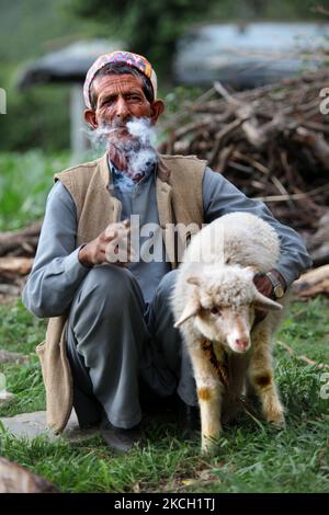 Gaddi-Mann raucht eine biddi (handgerollte Zigarette), während er am 03. Juli 2010 im Dorf Mandher in Himachal Pradesh, Indien, ein kleines Lamm hält. (Foto von Creative Touch Imaging Ltd./NurPhoto) Stockfoto