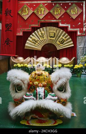 Löwenmaske während des chinesischen Neujahrsfestes in Markham, Ontario, Kanada, am 10. Februar 2008. (Foto von Creative Touch Imaging Ltd./NurPhoto) Stockfoto